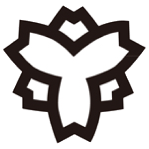 哈瑞玛艾比安女足